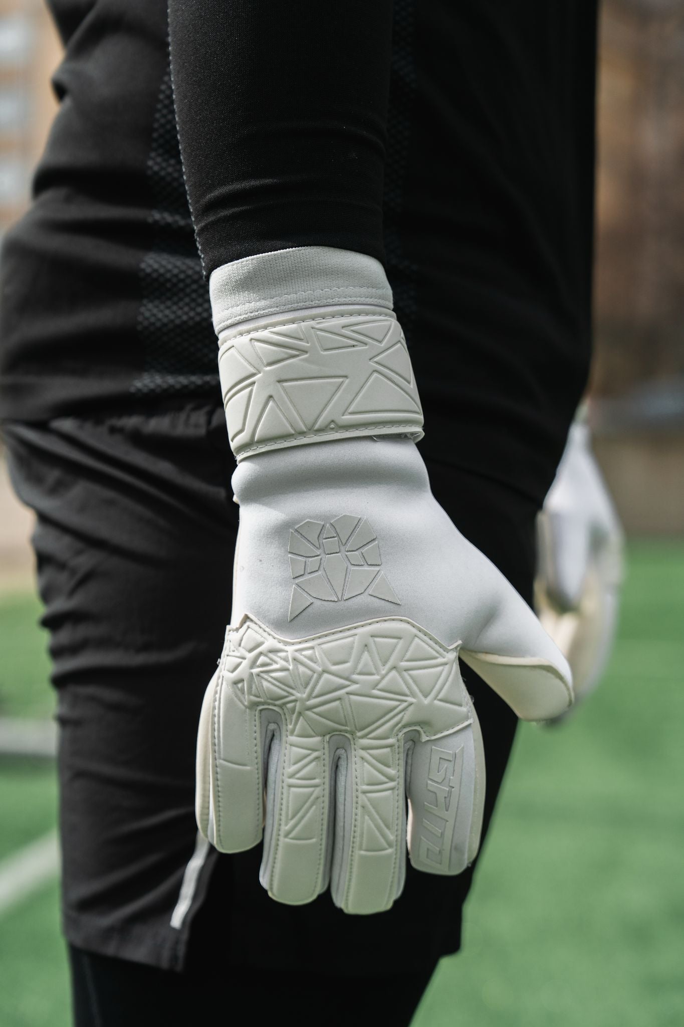 Gato Elite Contact