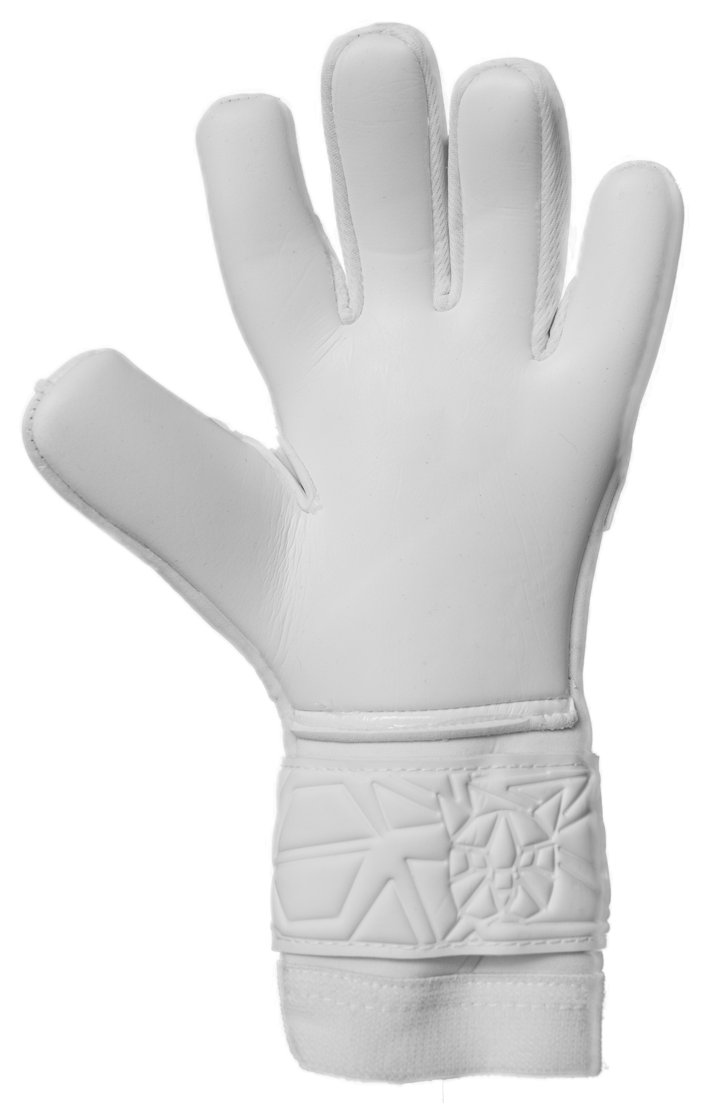 Gato Elite Contact